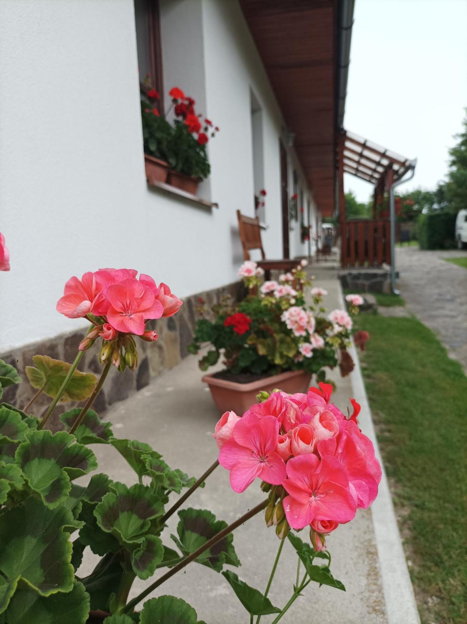 Kemences Vendeghaz Hotel Mikohaza Екстериор снимка